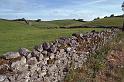 WT 2900 341-10 Ireland